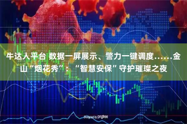牛达人平台 数据一屏展示、警力一键调度……金山“烟花秀”：“智慧安保”守护璀璨之夜