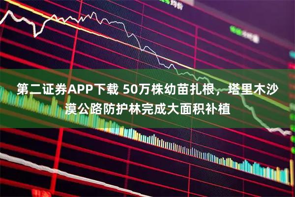 第二证券APP下载 50万株幼苗扎根，塔里木沙漠公路防护林完成大面积补植